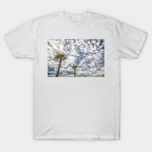 Palm Coast, Florida T-Shirt